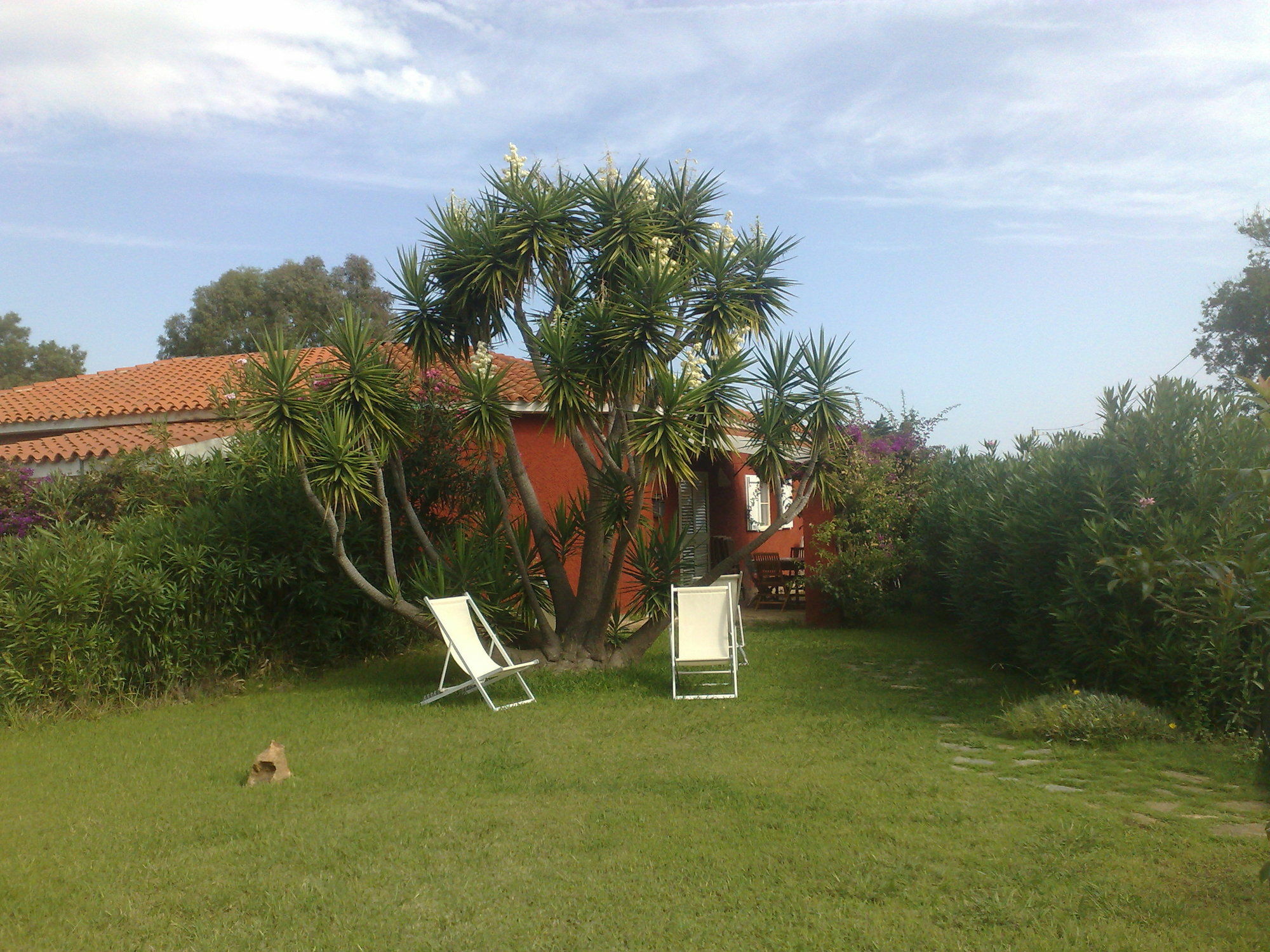 Residence La Pineta Budoni Extérieur photo